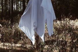 Fanatically Packed Eagle